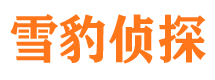 山亭市侦探调查公司